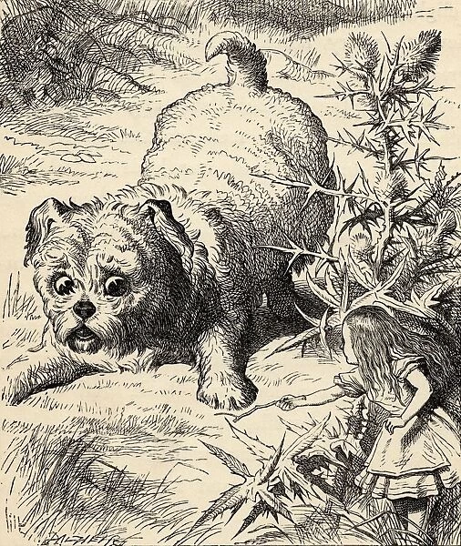 Alice Shrinks And Meets The Puppy Illustration By John Tenniel From The Book Alicess Adventures In Wonderland By Lewis Carroll Published 1891