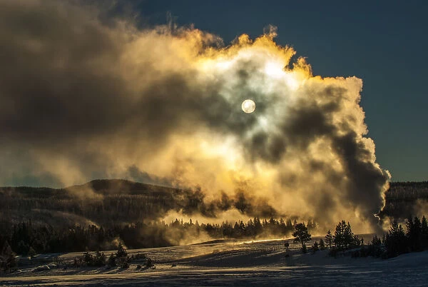 American Bison and Old Faithful with steam illuminated by the sun, Upper Geyser Basin in YNP, USA