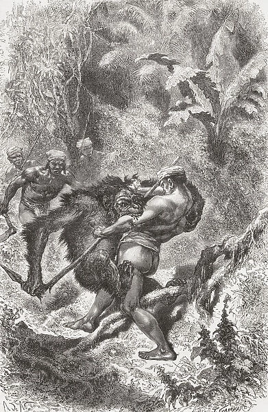 A Dayak Native From Borneo Fighting With An Orangutan In The 19Th Century. From El Mundo En La Mano, Published 1878