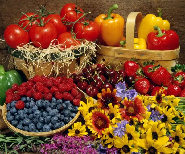 Fruits And Vegetables