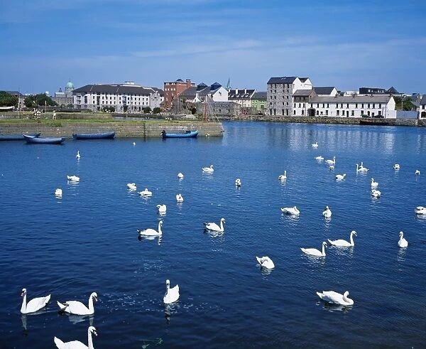 Galway, County Galway, Ireland