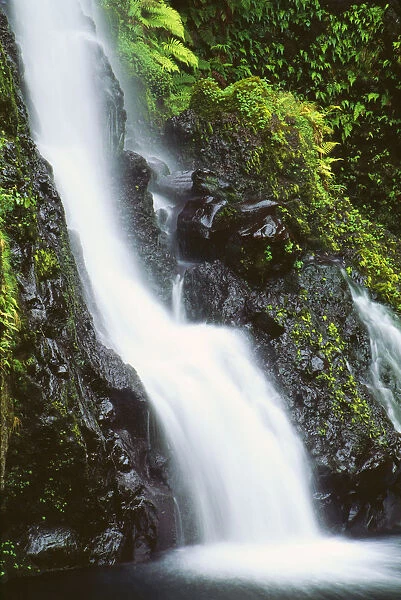 Hawaii, Maui, Foliage And Waterfall Along Hana Highway