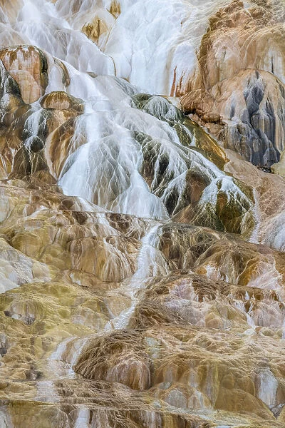 Mineral deposits at Canary Spring, Mammoth Hot Springs in Yellowstone Natural Park, Wyoming, USA