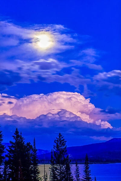 Full Moon and pink clouds, Thorofare, Upper Yellowstone River Valley, Yellowstone National Park, USA