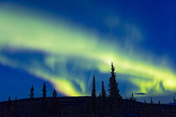 Northern Lights, Denali National Park & Preserve, Alaska, USA