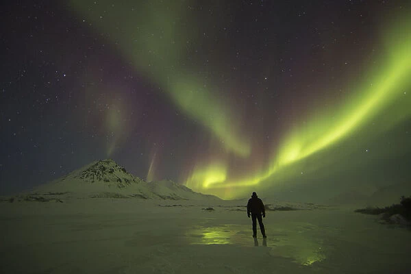 A Person Stands On The Frozen Blackstone River Beneath The Northern Lights; Yukon, Canada