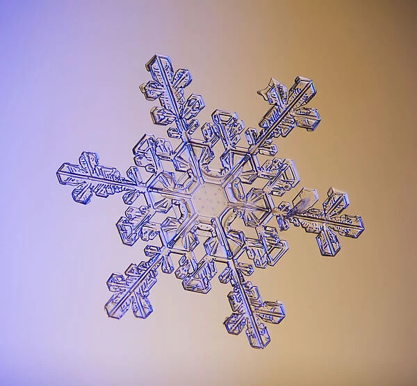 Photomicroscopic Close Up Of A Snowflake Crystal, Alaska