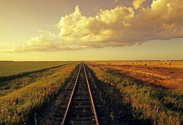 Railway Through Farmland, Near Carey, Manitoba