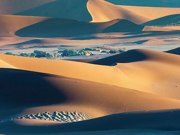 Sand dunes in Namib Naukluft Park