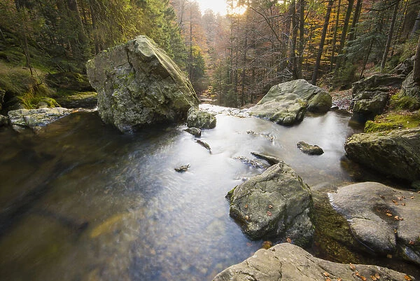Scenic view of a river in autumn, Bavarian Forest National Park, Bavaria, Germany