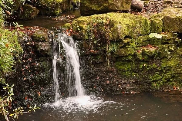 Small Waterfall, Northumberland, England