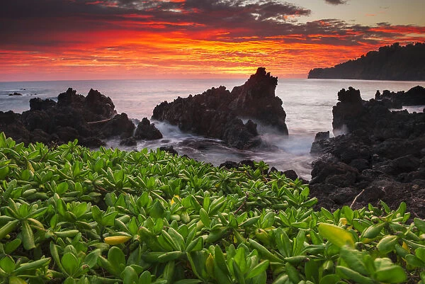 Sunrise Over The Ocean And Coastline; Laupahoehoe, Island Of Hawaii, Hawaii, United States Of America