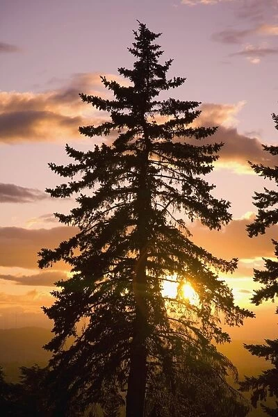 Sunset, Willamette Valley, Oregon, Usa