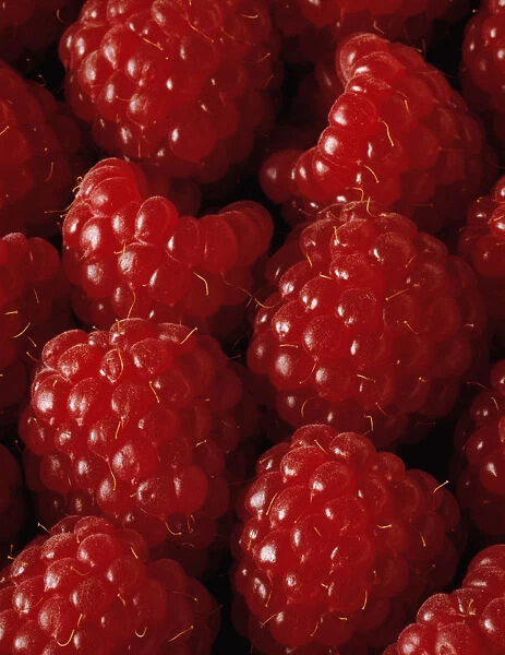 JK_FV96. Rubus idaeus. Raspberry. Red subject