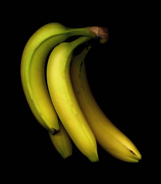 MH_0065. Musa - variety not identified. Banana. Yellow subject. Black b / g