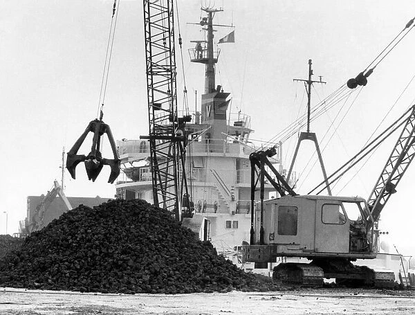 Coal that has been imported from West Germany at an Essex dock