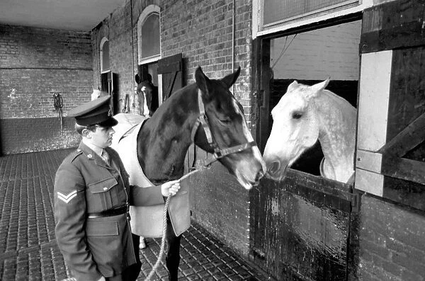 'Dennis'is the first Army horse to go into retirement under the recent