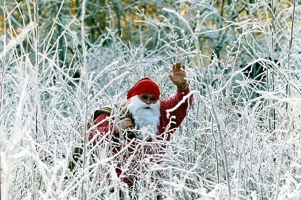 Father Christmas waves as he stand amongst snow covered plants December 1991