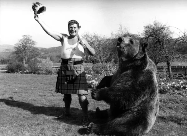 We re back home! Hercules the Bear Print, April Art Prints