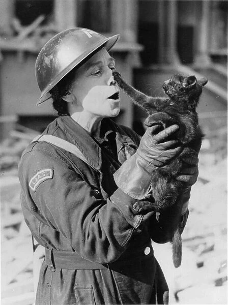 A kitten is saved after a daylight air raid over London, during the Blitz
