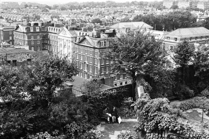 Framed Print : Derry and Toms Roof Gardens Print, London 1965 Framed Print : Derry and Toms Roof Gardens Print, London 1965