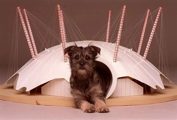 Missey tries out her millennium dome home December 1999 A©Mirrorpix