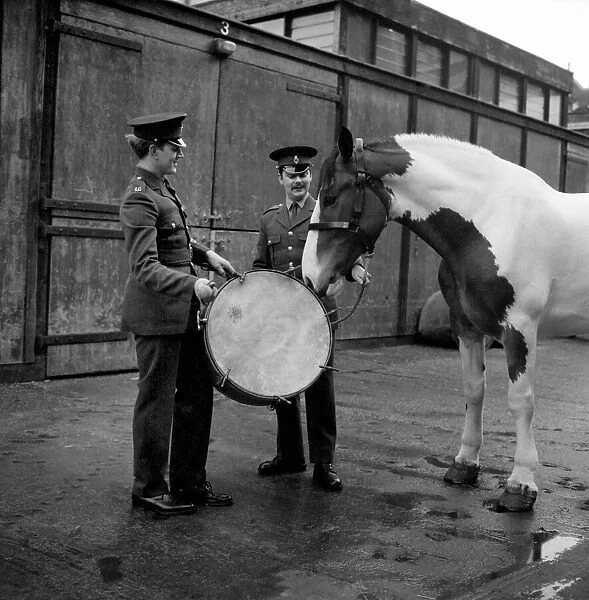 The Queen has bought 'Cicero'an Edinburgh Co-operative Society milk horse