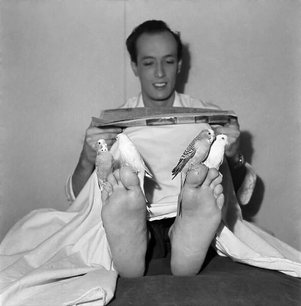 Stage illusionist Kodell with his Budgerigar. September 1952 C4775