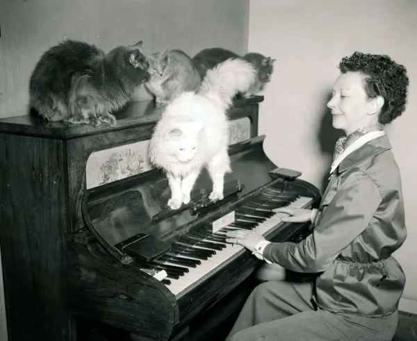 Woman Playing Piano to Cats Print, February 1954. Art Prints