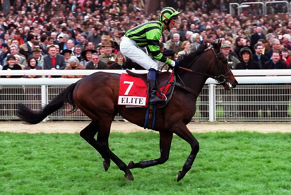 Donatus Ridden By Mr P.Flynn 14 March 2000 Date: 14 March 2000
