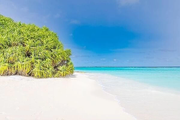 Beautiful Maldives islands beach with mangrove trees, white sand, light blue transparent water with coral reefs, green tropical forest plants