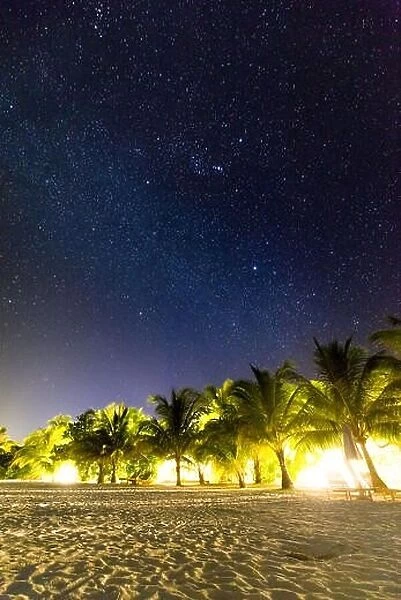 Milky Way on the beach. Tropical travel destination, night photo of stars and palm trees with soft light