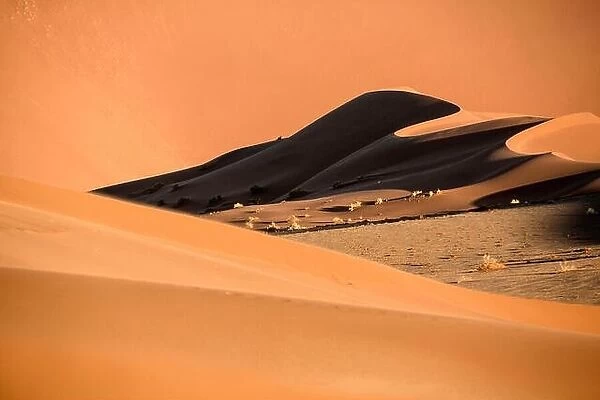 Sand Dune abstract