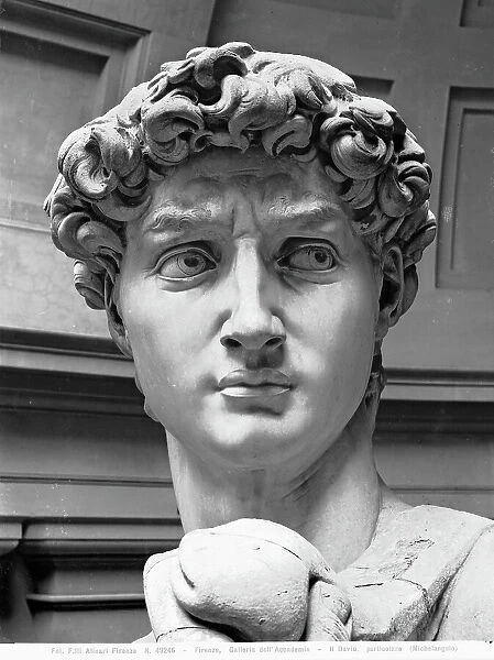 David, detail, marble, Michelangelo Buonarroti (1475-1564), Academy Gallery, Florence