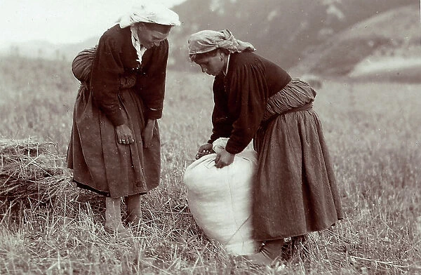 Two farmers closing the harvest up in a sack, Scanno