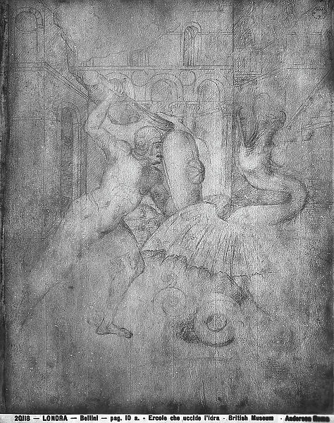 Hercules killing the Hydra of Lerna; drawing by Jacopo Bellini, in the British Museum in London