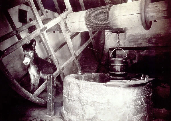 Mechanism for well drilling pulled by a donkey