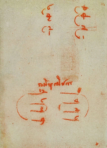 Multiplication calculations, page from the Codex Forster II, c.14r, by Leonardo da Vinci, housed in the Victoria and Albert Museum, London