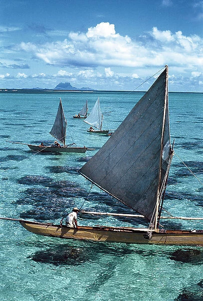 Pahi sailing canoes fushing in the lagoon of Rajatea