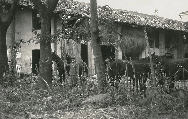 Soldiers and horses in a war zone
