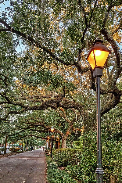 Georgia, Savannah