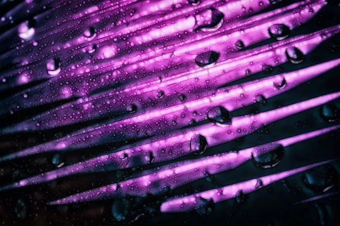 Framed Print : Purple Gradient Abstract Print