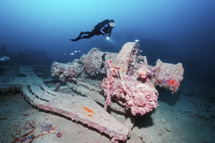 Framed Print : Rosalie Moller Wreck Print, Red Sea, Egypt Framed Print : Rosalie Moller Wreck Print, Red Sea, Egypt