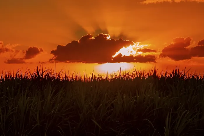 Framed Print : Dramatic Sunset Print, Mauritius Africa