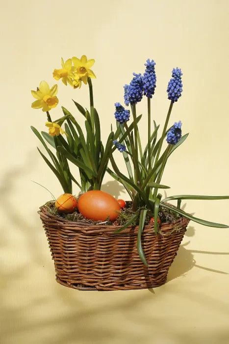 Framed Print : Easter Basket with Spring Flowers Print Framed Print : Easter Basket with Spring Flowers Print