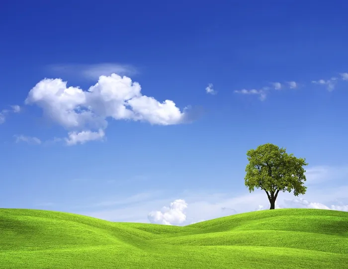 Framed Print : EcoGreen Print by imageBROKER Framed Print : EcoGreen Print by imageBROKER
