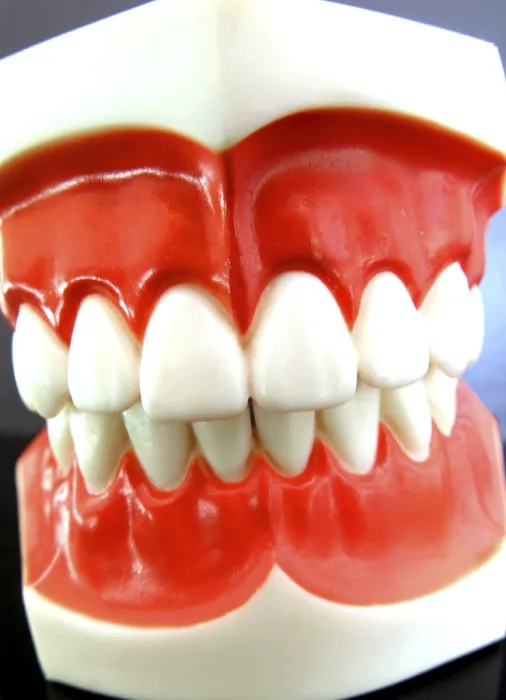 Framed Print : False Teeth Print Framed Print : False Teeth Print