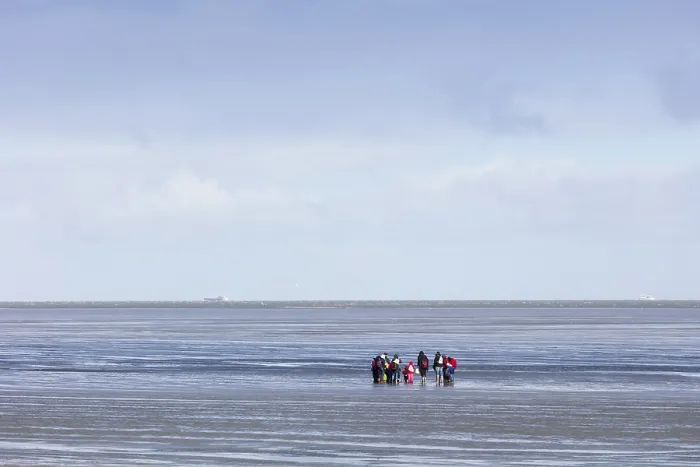 Framed Print : Mudflat Strollers in Cuxhaven, Germany Print