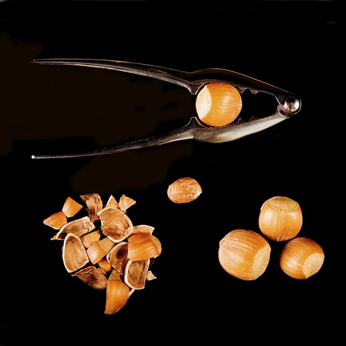 Framed Print : Hazel Nuts with Nutcracker Print
