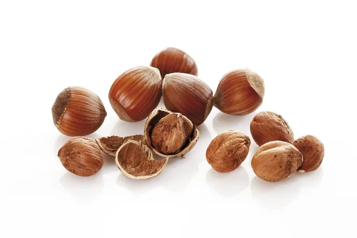 Framed Print : Hazelnuts Print - With and Without Shell Framed Print : Hazelnuts Print - With and Without Shell